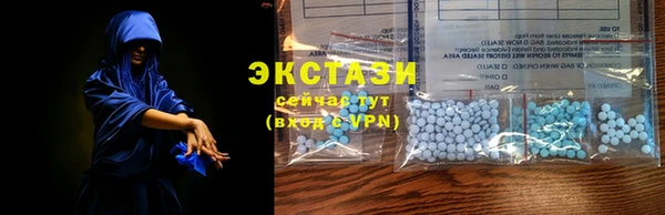 стаф Осташков
