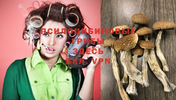 стаф Осташков