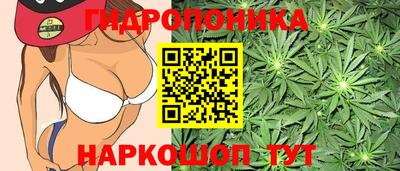 дурь Будённовск