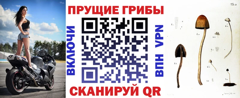 Галлюциногенные грибы прущие грибы  Гурьевск 