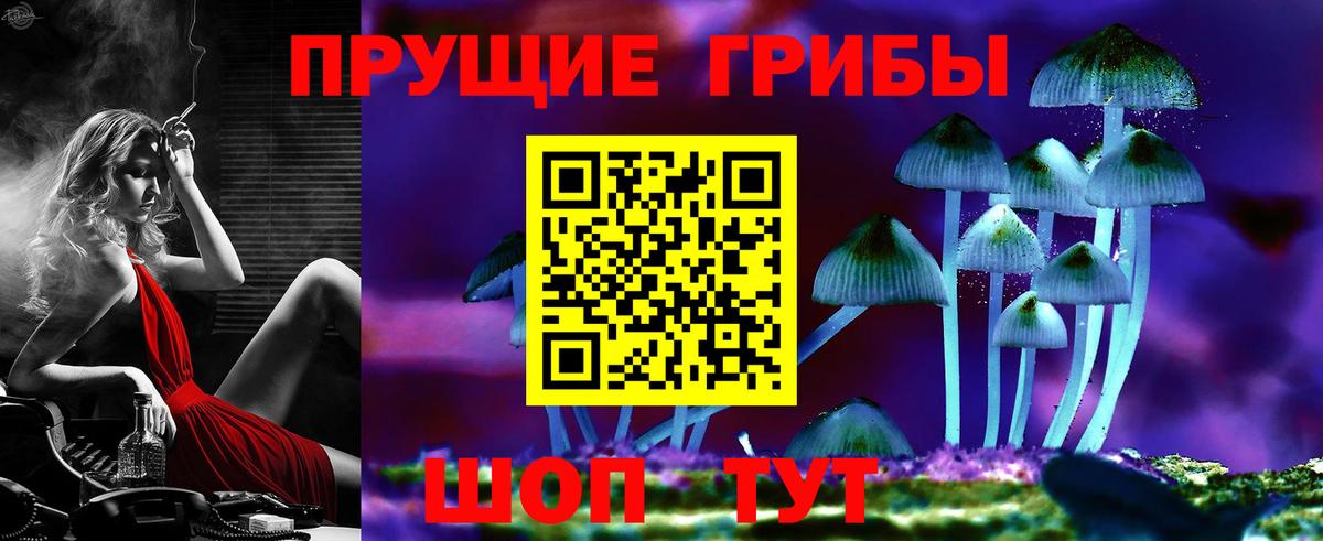 Псилоцибиновые грибы MAGIC MUSHROOMS Гурьевск