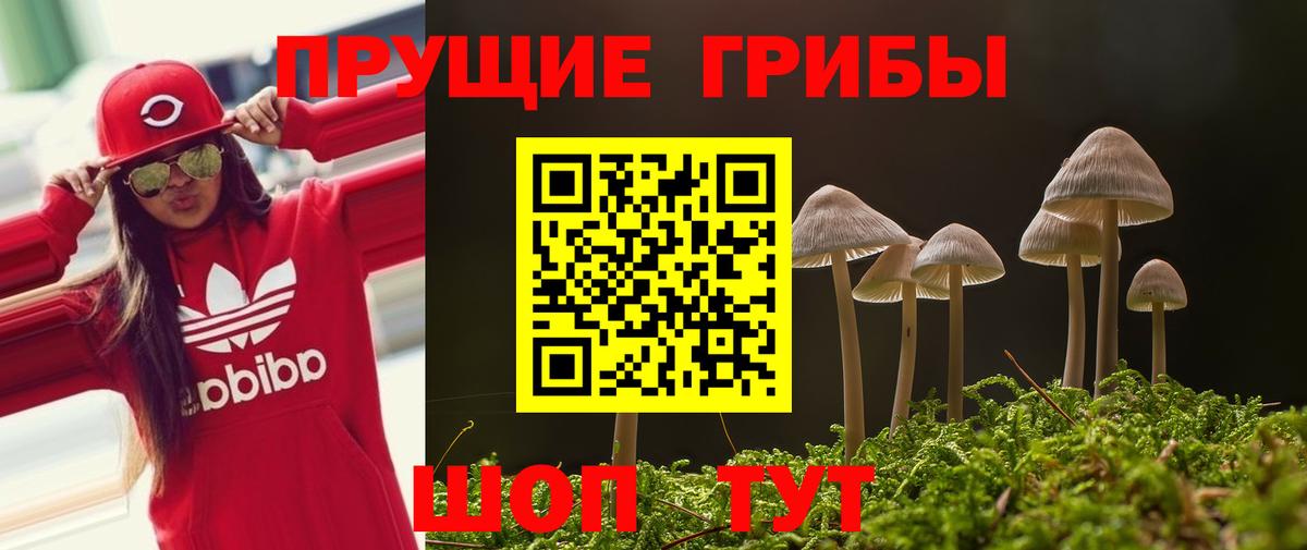 Галлюциногенные грибы прущие грибы  Вход с VPN  Псилоцибиновые грибы мицелий  Гурьевск 