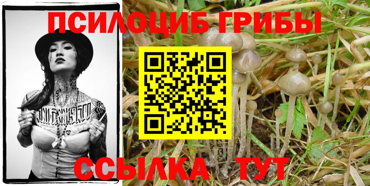 Псилоцибиновые грибы ЛСД Гурьевск
